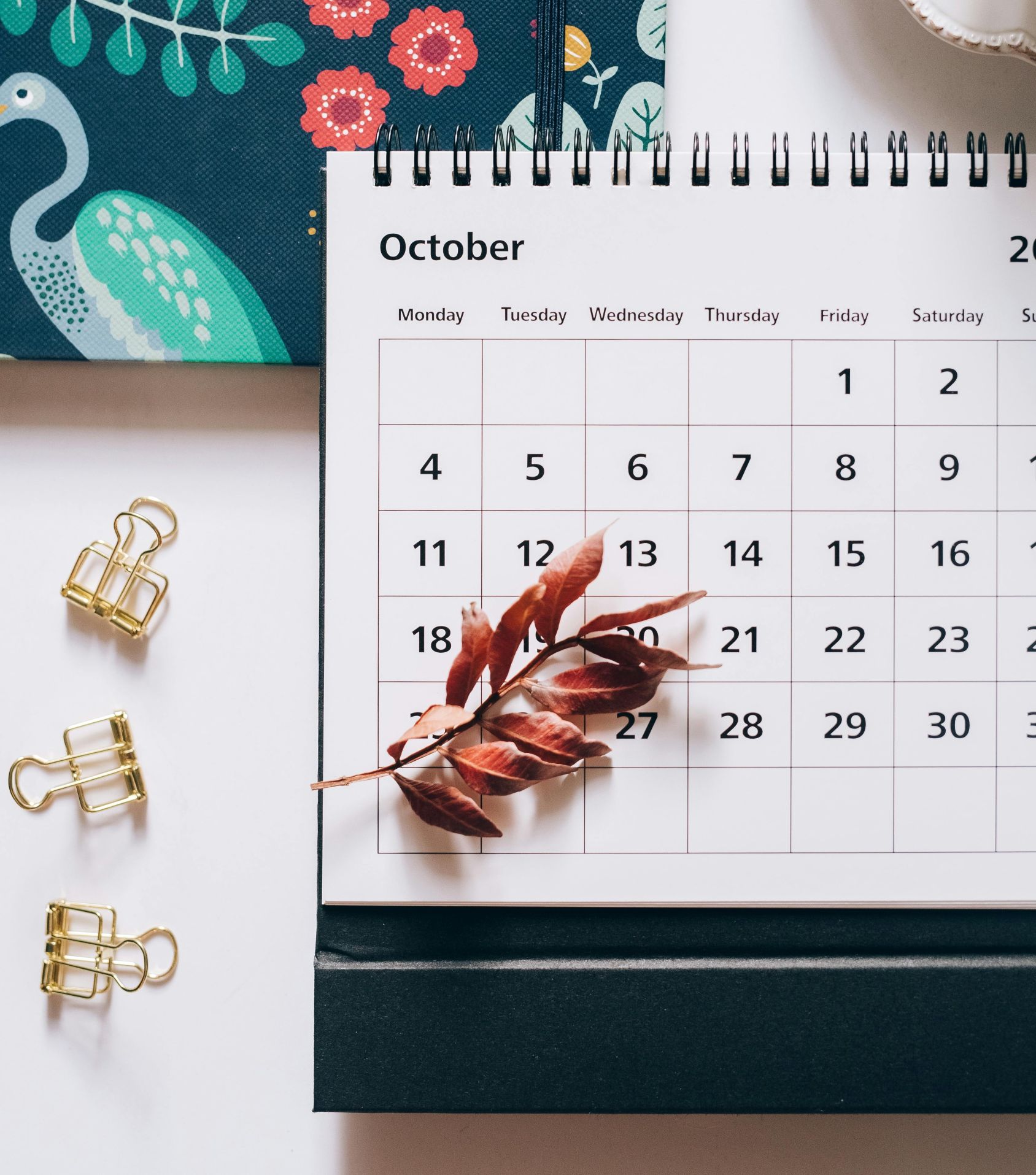 Academic Calendar at MBash College